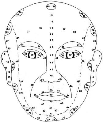 Схема зон на лице